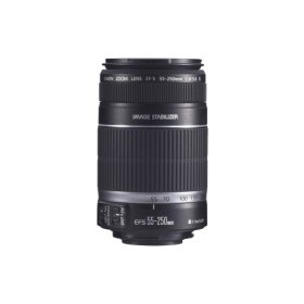 canon-55-250-f40-56-is