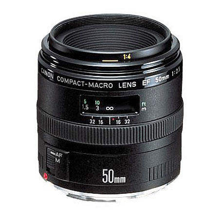 Canon 50mm f/2.5 macro EF Review Round-Up