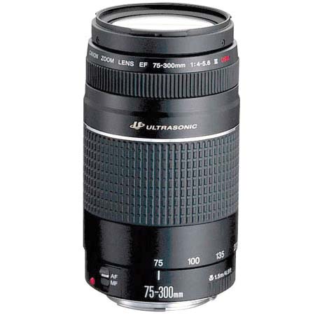 Canon 75-300mm f/4-5.6 III USM EF Review Round-Up