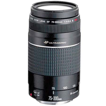 Canon 75 300mm F 4 5 6 Iii Usm Ef Review Round Up