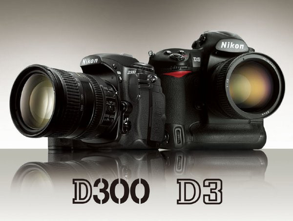 Although the D300 employs the smaller DX sensor, it shares a great deal of technology with the full-frame D3