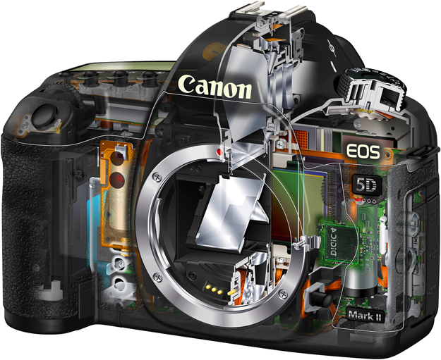 A digital camera is similar to a computer in some aspects so its operating software -- or firmware -- can be updated. The process no longer requires a trip to a service centre as it did in the past, making it easy and quick to improve functionality.